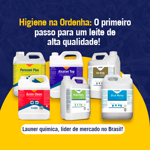 SITE 500X500 - LAUNER